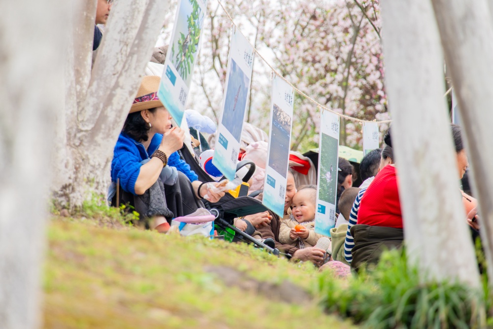 第四届“自然重庆”嘉年华启幕 20余项森林主题活动等你来2.jpg