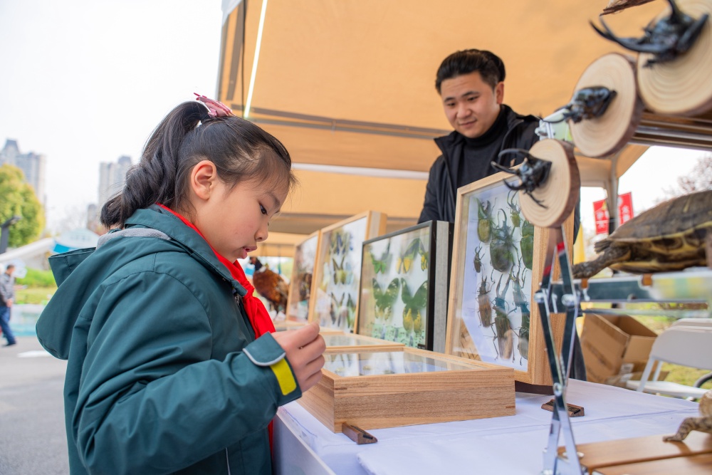第四届“自然重庆”嘉年华启幕 20余项森林主题活动等你来4.jpg