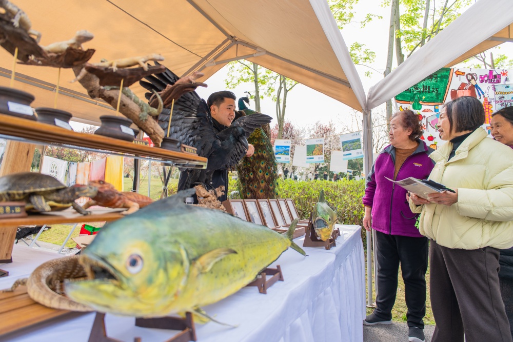 第四届“自然重庆”嘉年华启幕 20余项森林主题活动等你来5.jpg