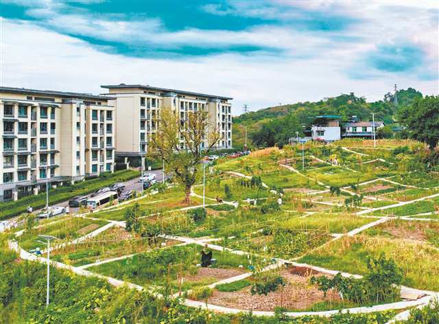 2026-08-12-0072.jpg