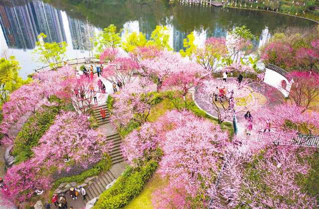 重慶開啟春游模式 “花花世界”邀你打卡