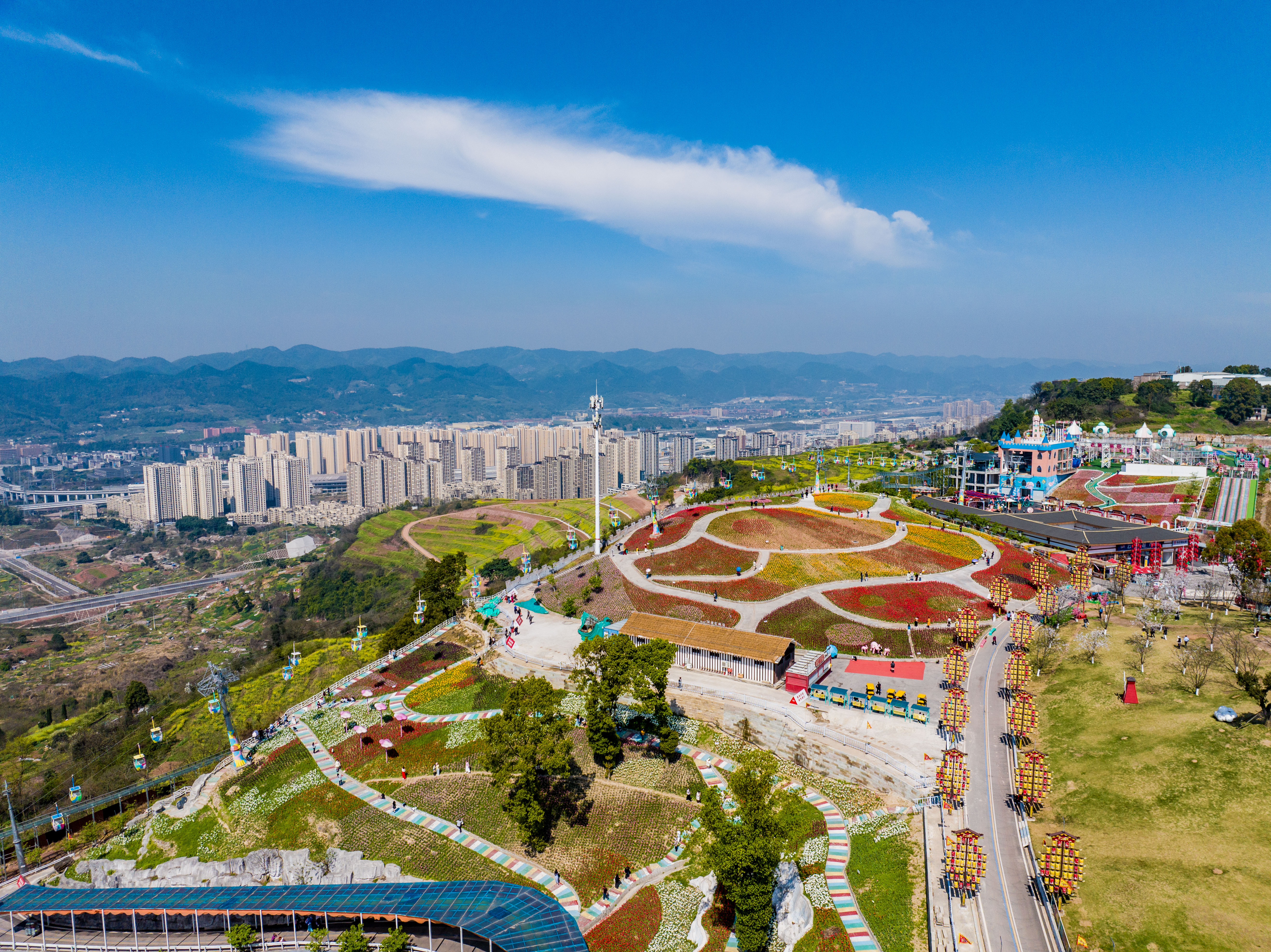 春日重庆:蓝天为伴 生机盎然6.jpg