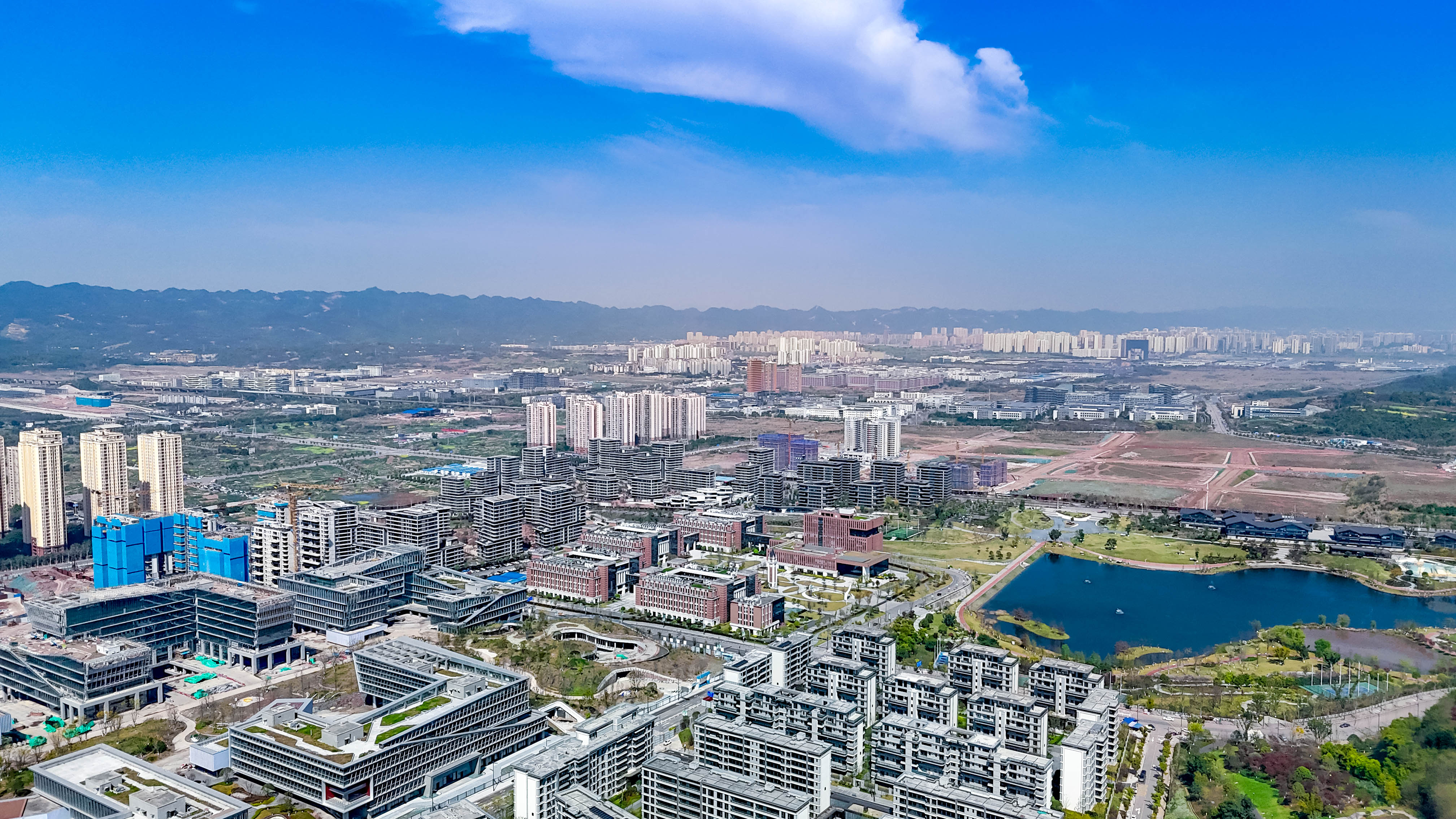 春日重庆:蓝天为伴 生机盎然11.jpg