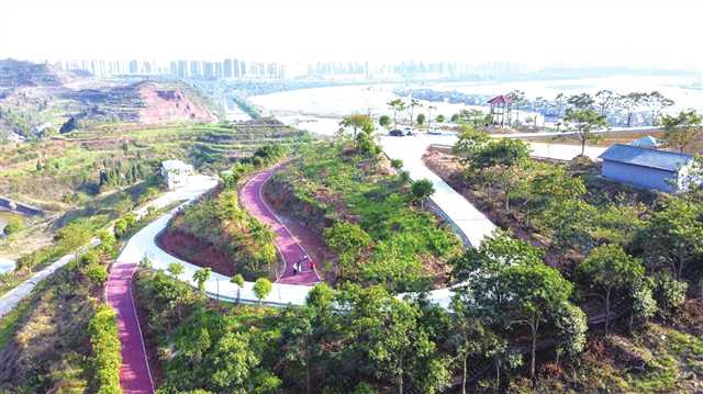 重庆潼南区人口_潼南区:打造中小学生基本生存能力培育示范基地