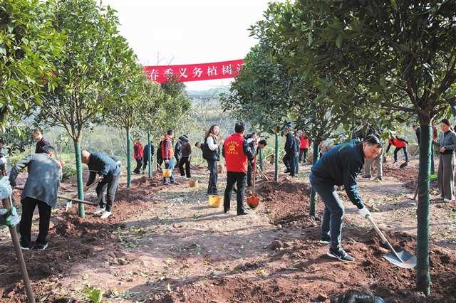 綦江 厚植绿色本底 筑牢重庆南部生态屏障1.jpg