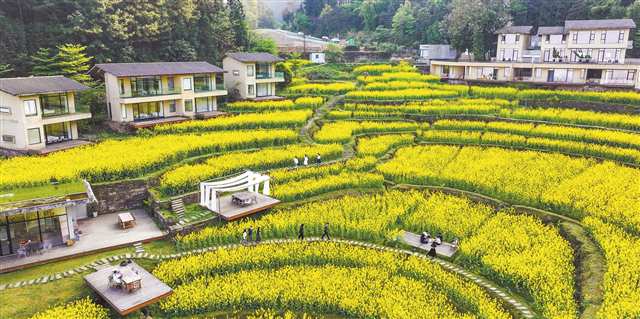 算法赋能 业态焕新4.jpg