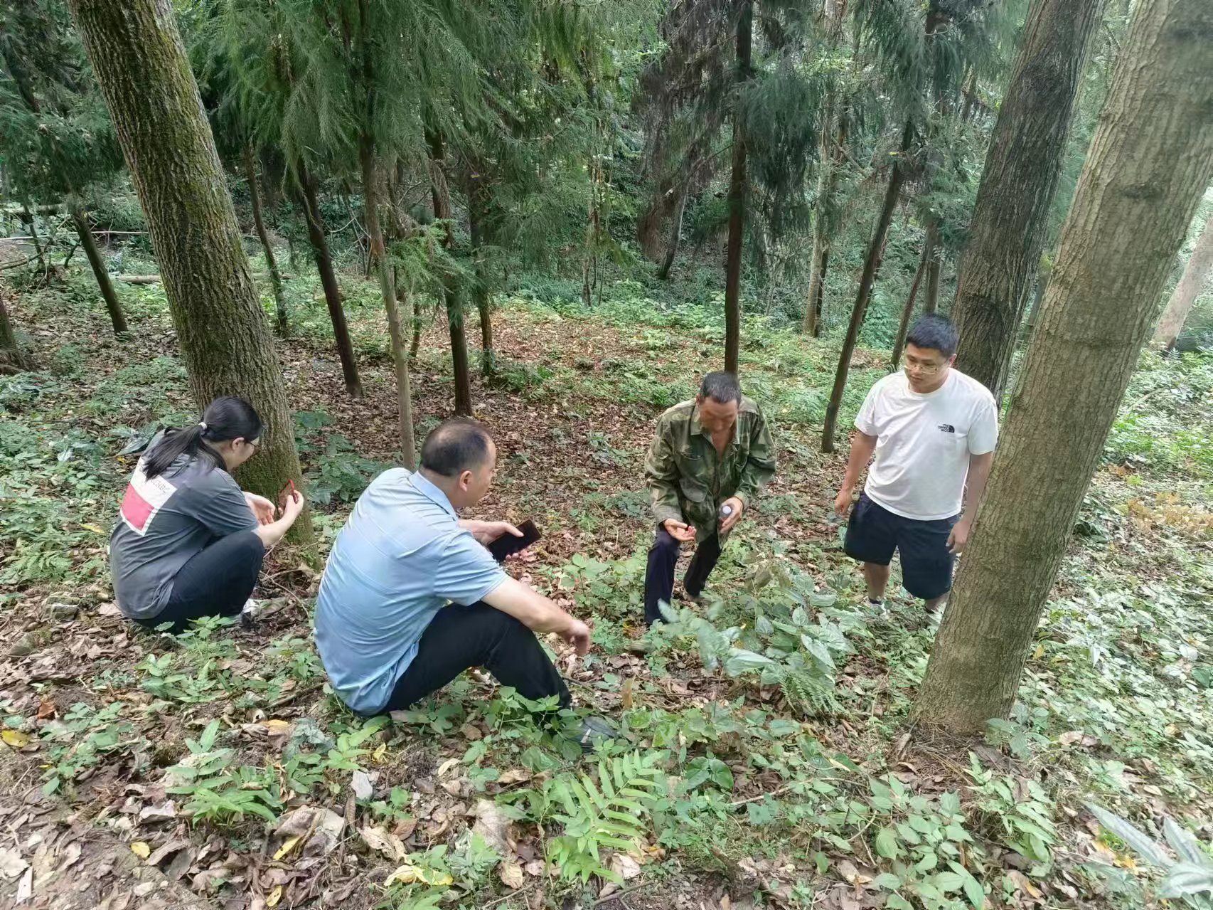 一场夜市增收3000元、卖矿泉水年入5万元…… 重庆这三个山村摸索出“生意经”1.jpg