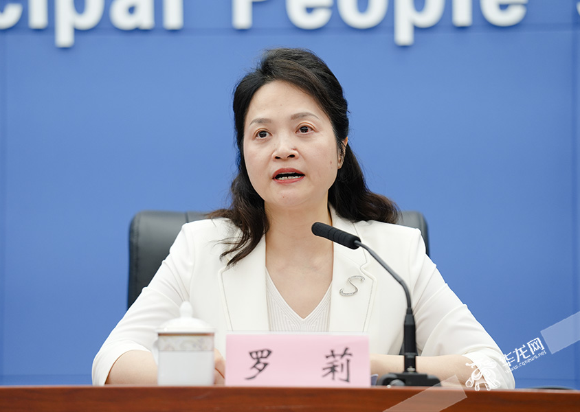 第六届中国西部国际投资贸易洽谈会新闻发布会