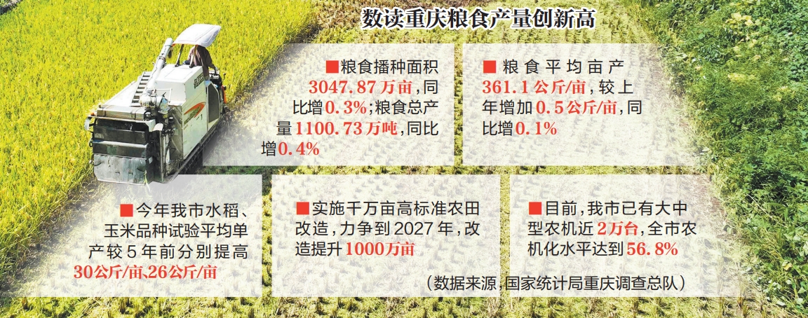 推進(jìn)閑置地復(fù)耕 推廣種子新品種 攻關(guān)新技術(shù)提單產(chǎn) 一劑“糧”方促重慶糧食產(chǎn)量創(chuàng)新高