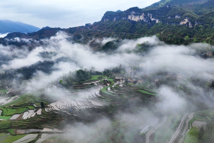 酉阳:春日梯田景如画_重庆市人民政府网