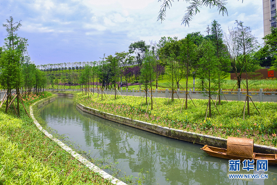 一河风光缀山城两岸清绿惠民生重庆九龙坡跳磴河治理见闻