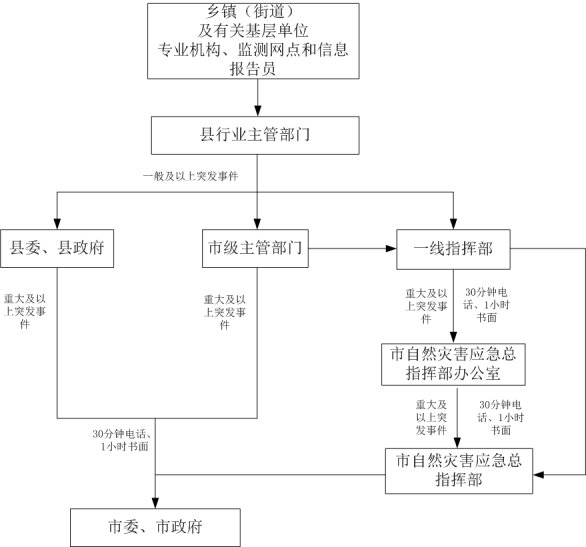 管家婆全年资料