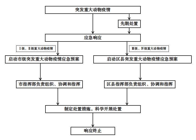 管家婆全年资料