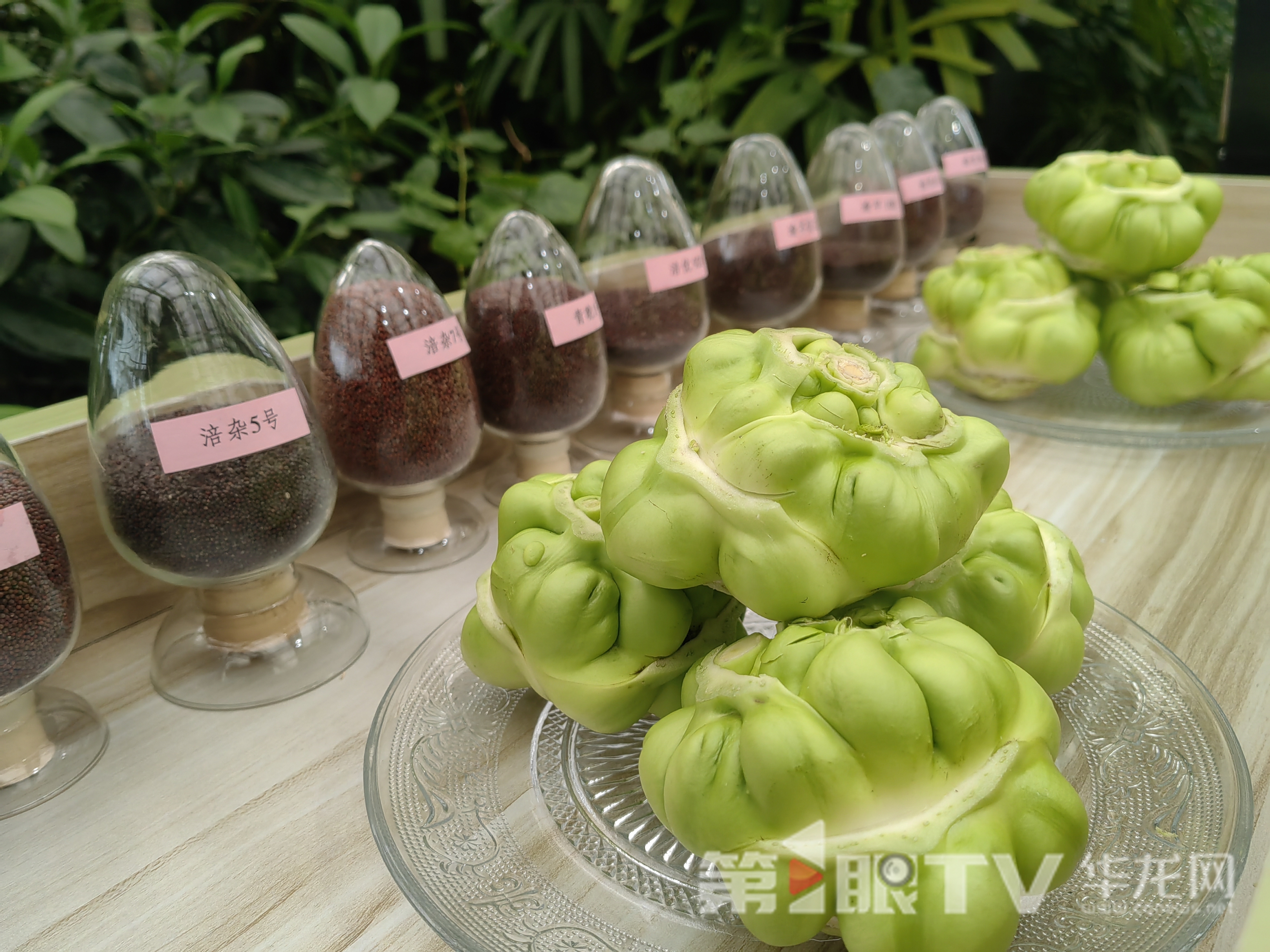 补短板、建体系、育主体 重庆将实施2026年“农业科技突破年”行动3.jpg