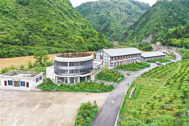 一把挂面 一树柑橘 一瓶果汁1.jpg